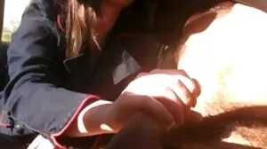 Berpayu dara besar sialan video lucah budak budak
